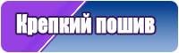 Толстовка с мишкой